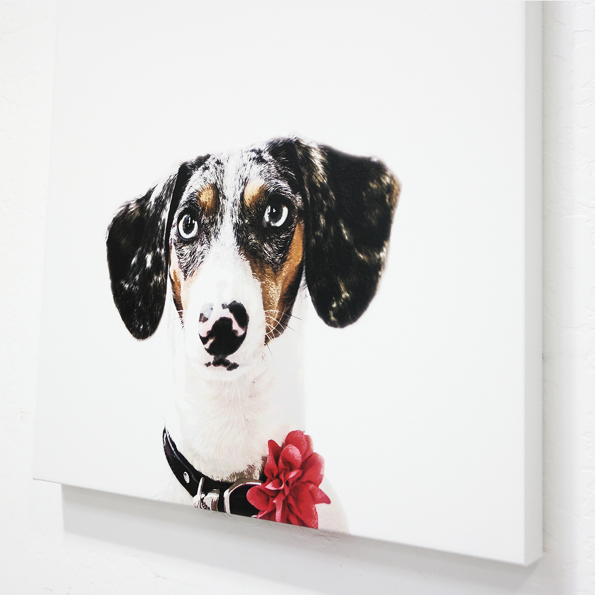 Dog Canvas Print
