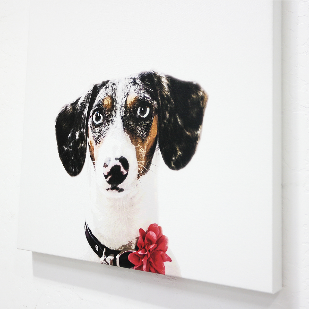 Your Custom Canvas Prints Online for Your Photos or Fine Art