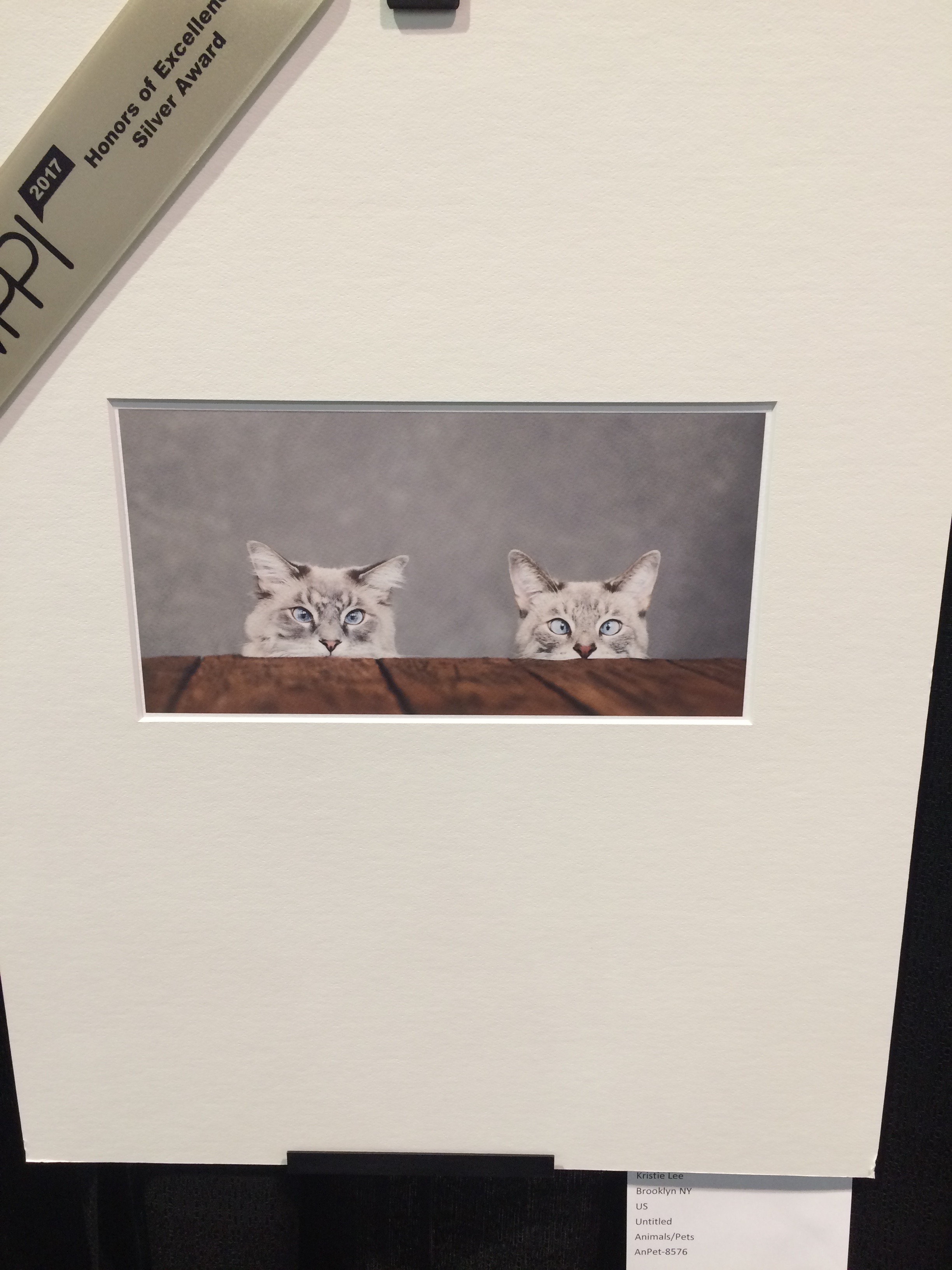 It's not all wedding and portrait photography at the Expo - there were even cat prints!