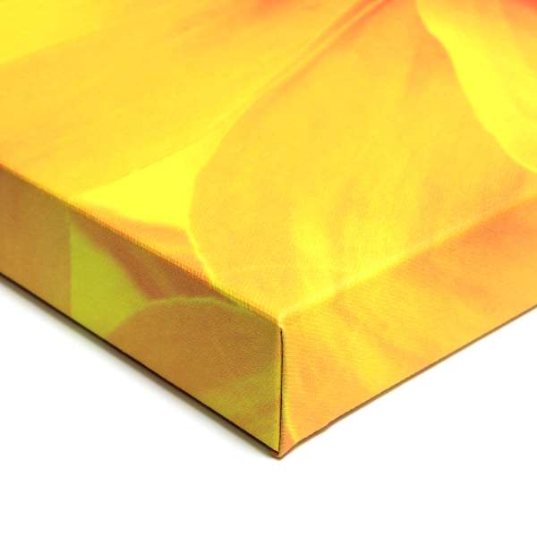 Order Your Custom Canvas Prints Online for Your Photos or Fine Art