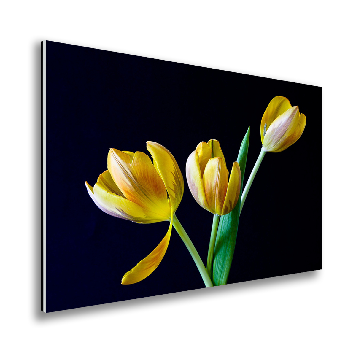 Acrylic Print Encapsulation | ArtisanHD