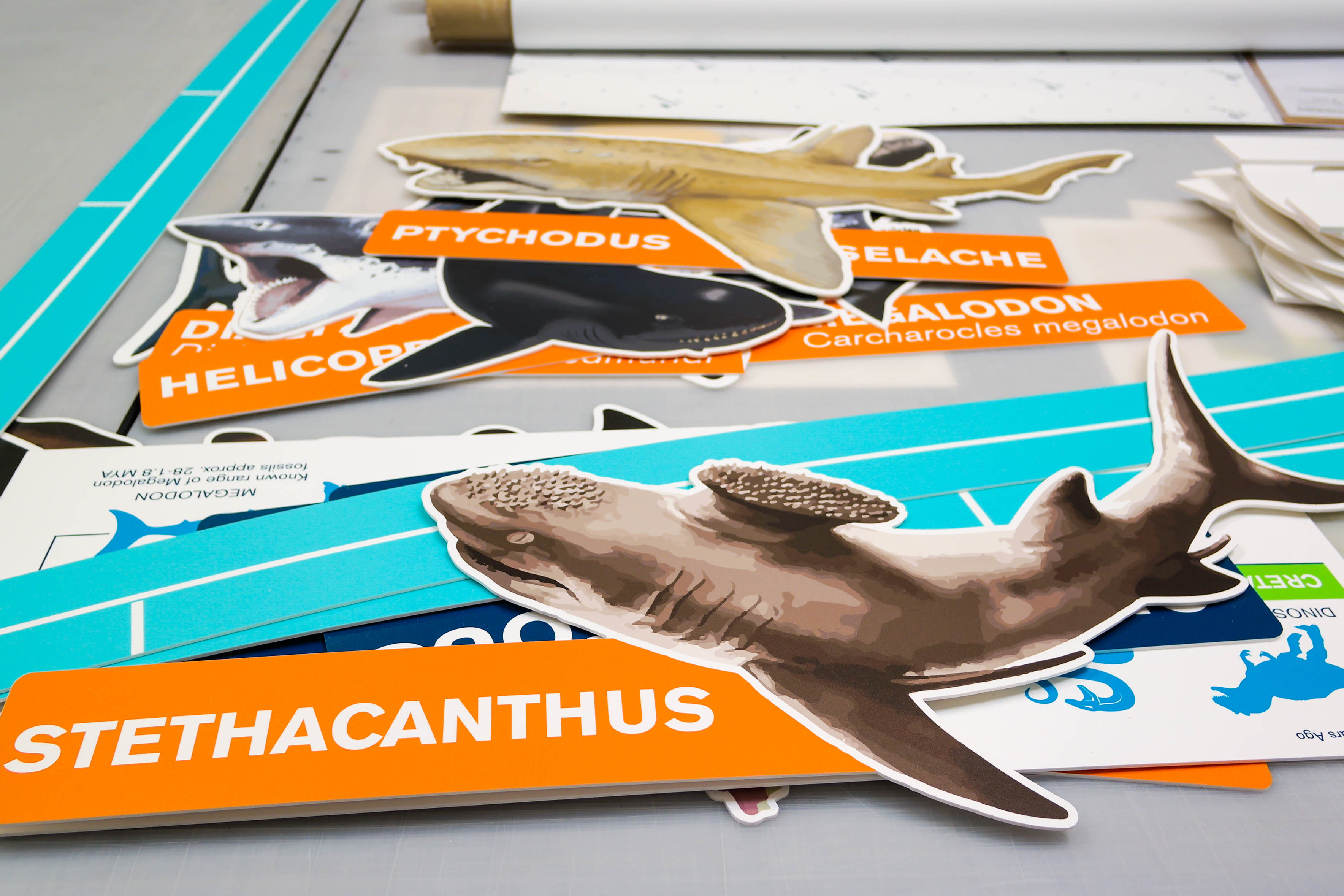 custom event signage sharks