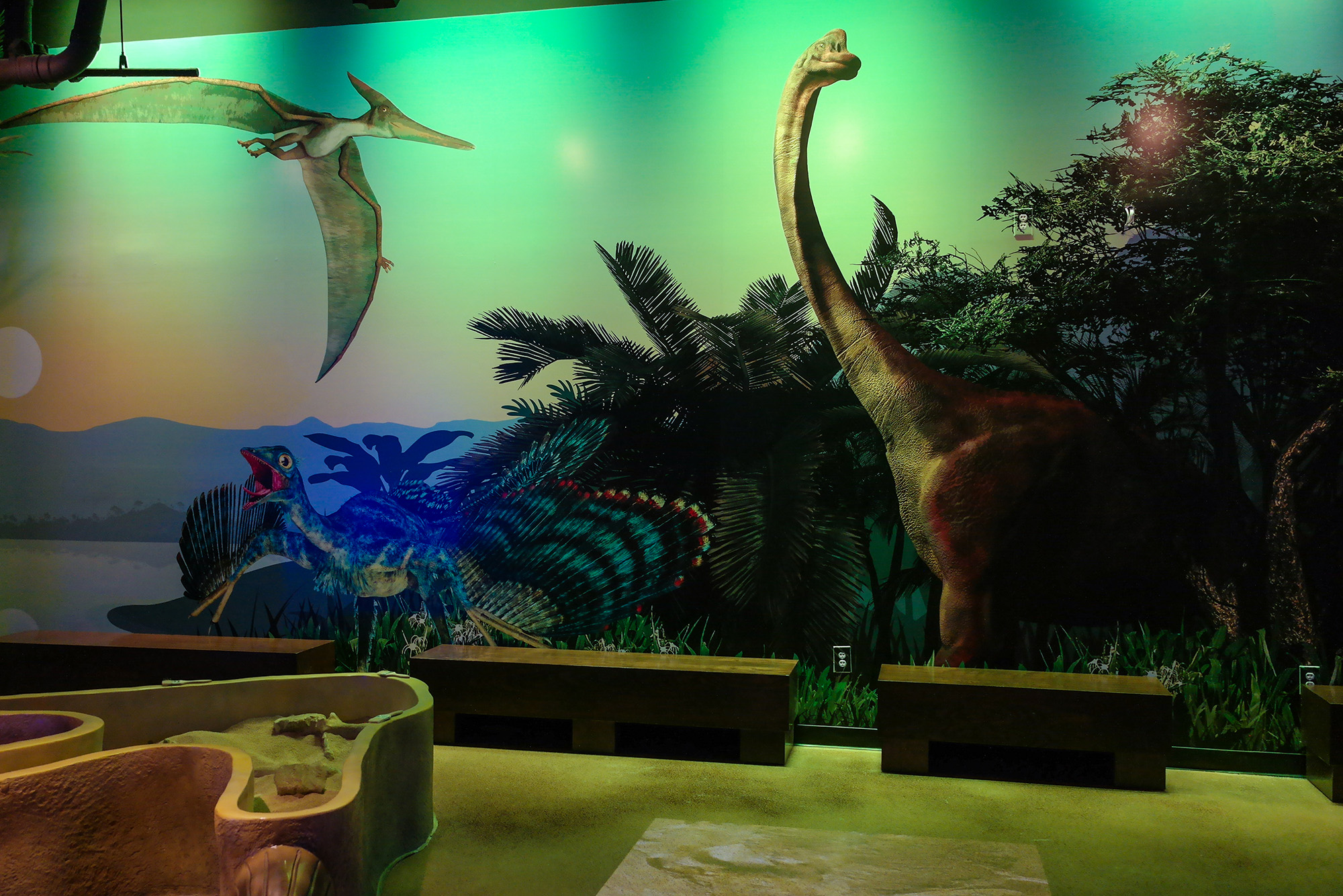 custom wall graphics dinosaurs graphic