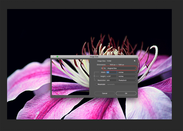 How to Avoid Poor Print Results When Resizing Images