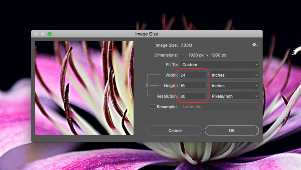 How to Avoid Poor Print Results When Resizing Images