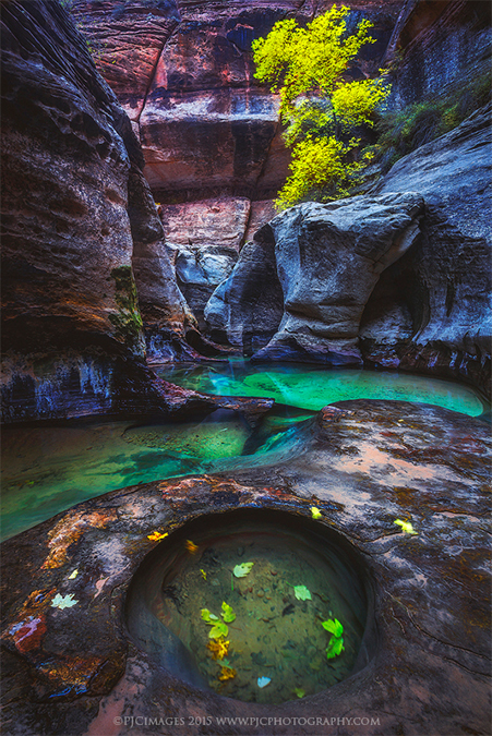Peter Coskun Giveaway Photo Choice by ArtisanHD Print Shop 