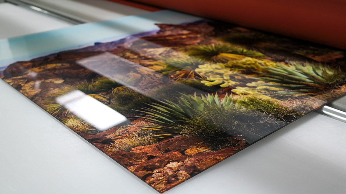 printed nature photos desert landsca