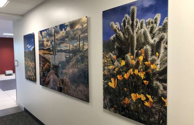 Nature Photography Acrylic Prints by Tom Corey