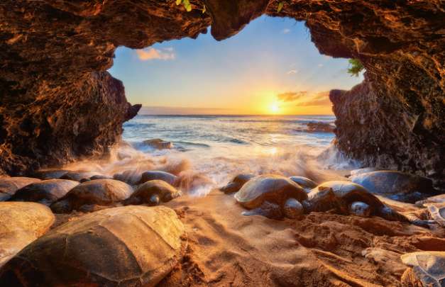 Andrew Shoemaker cavern photo looking out to ocean with sunset