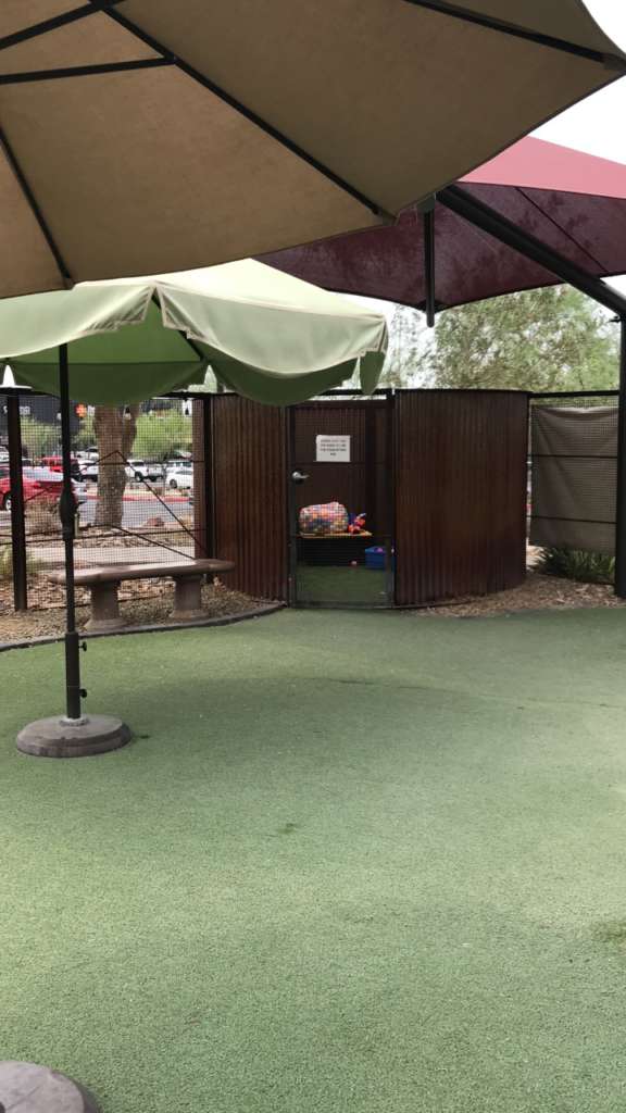 Foothills Animal Rescue Exterior Playground Upgrades
