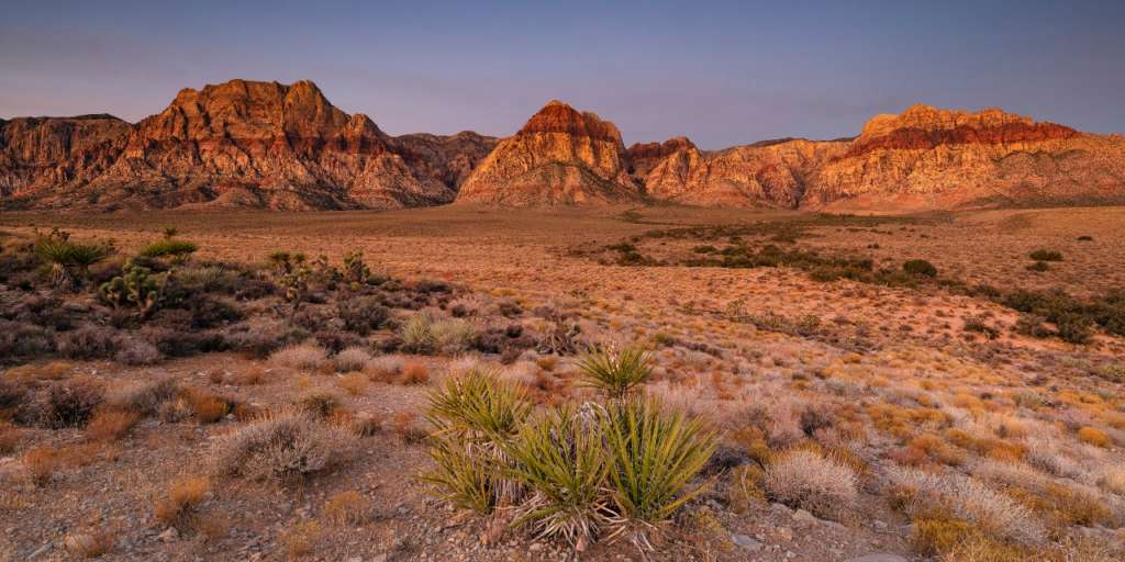 Desert Morning Landscape Photo printed by ArtisanHD web