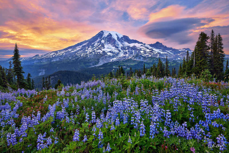 Fine Art Photographer Aaron Reed Expressing Nature’s Majesty