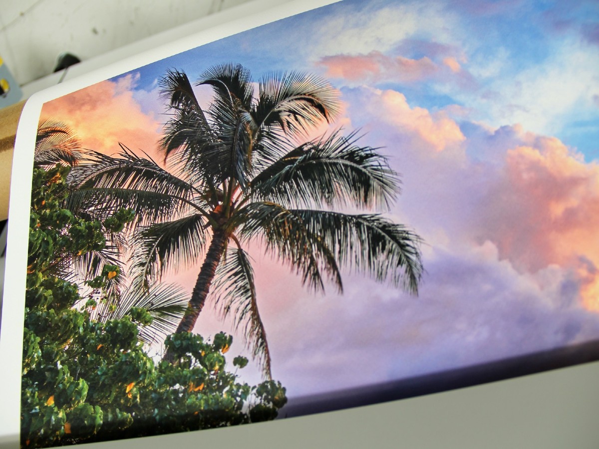 Watercolor Paper Canon printer tropical brightened 1200x900 1