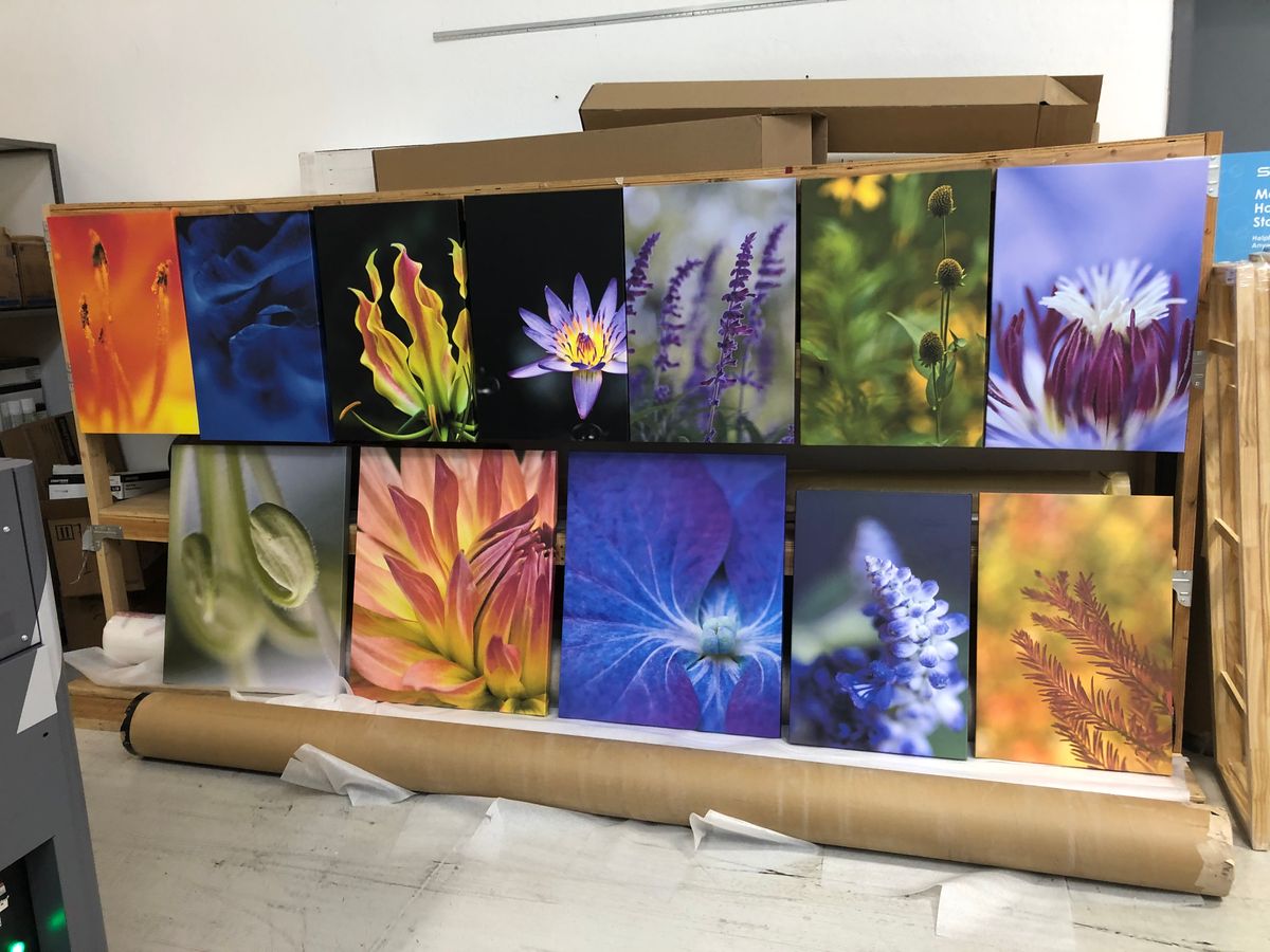flower gallery canvas size