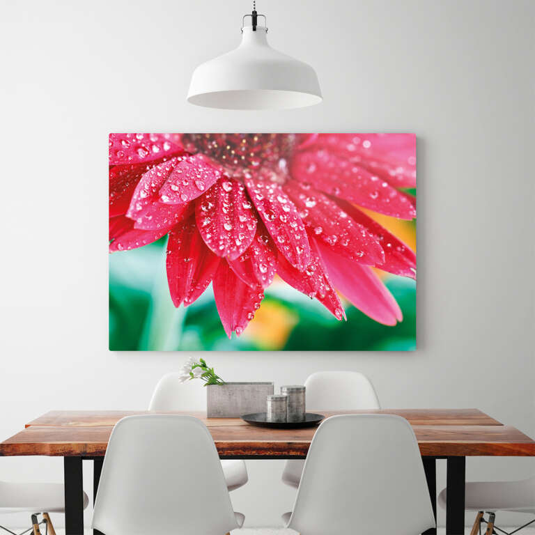 High quality ChromaLuxe metal print of flower