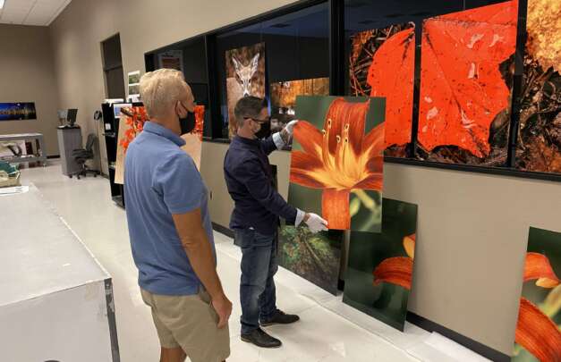 Employee guiding a corporate art buyer
