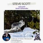📸 Featured Artist: Steve Scott 🌿✨Meet Steve Scott, a master photographer with over 40 years of experience capturing nature’s beauty with precision and passion. His journey began with a Zeiss Ikon TLF camera from his grandfather, sparking a lifelong love for photography.After a career in technology, Steve transitioned to full-time photography in 2020, dedicating himself to the perfect shot—often waiting hours for ideal lighting. His patience and attention to detail result in breathtaking landscapes and commercial portraits.As an ArtisanHD Brand Ambassador, Steve trusts our expert printing to bring his visions to life in stunning high definition. His work is a perfect blend of artistry and technical mastery!🖼️ See more of Steve’s incredible work @stolenlightimagery#FeaturedArtist #SteveScott #NaturePhotography #ArtisanHD #FineArtPrinting #PhotographyLover